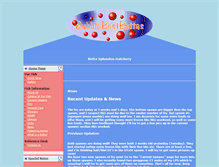 Tablet Screenshot of bubblebestbettas.com